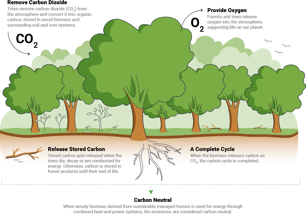 Carbon composite infographic illustration