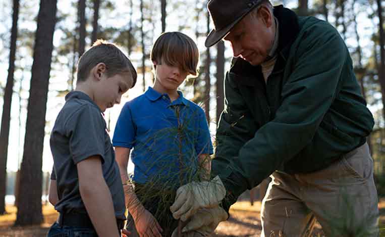 Man planting seedling with boys