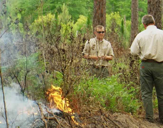 Image of forest rangers around controlled brush fire
